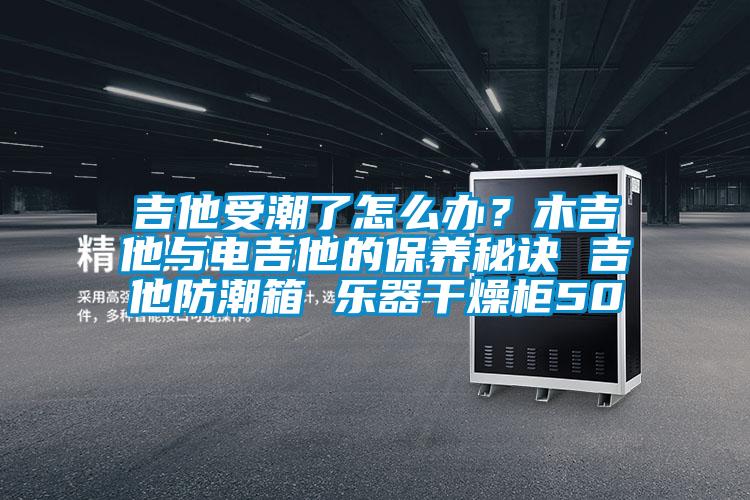 吉他受潮了怎么辦？木吉他與電吉他的保養(yǎng)秘訣 吉他防潮箱 樂(lè)器干燥柜50