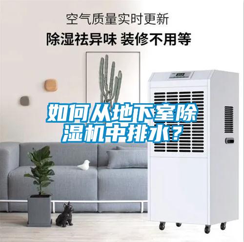 如何從地下室除濕機(jī)中排水？
