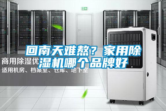 回南天難熬？家用除濕機哪個品牌好
