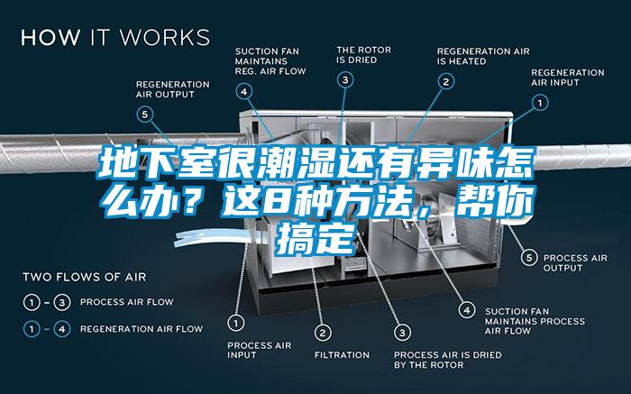 地下室很潮濕還有異味怎么辦？這8種方法，幫你搞定
