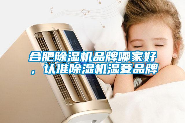 合肥除濕機品牌哪家好，認(rèn)準(zhǔn)除濕機濕菱品牌