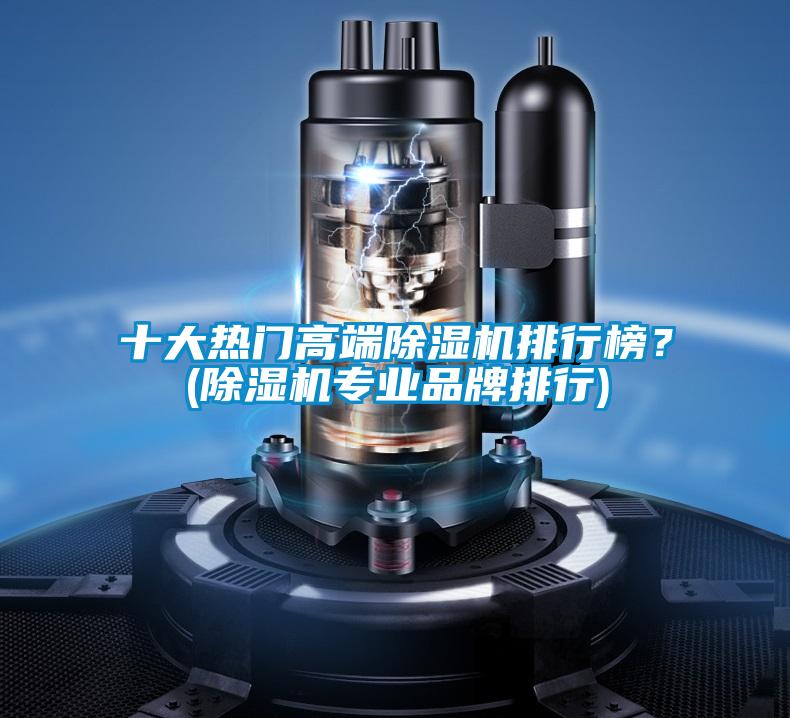 十大熱門高端除濕機(jī)排行榜？(除濕機(jī)專業(yè)品牌排行)