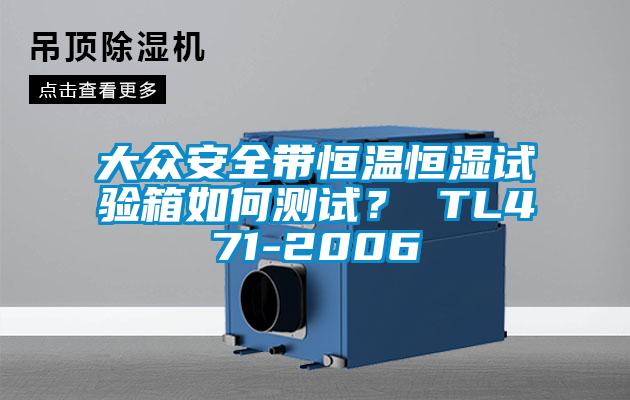 大眾安全帶恒溫恒濕試驗(yàn)箱如何測試？ TL471-2006