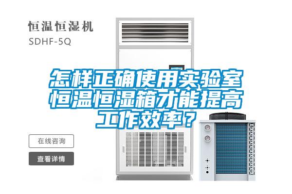 怎樣正確使用實驗室恒溫恒濕箱才能提高工作效率？