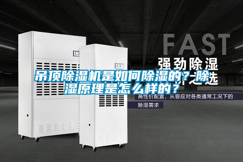 吊頂除濕機(jī)是如何除濕的？除濕原理是怎么樣的？