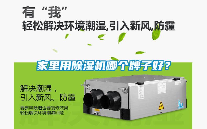 家里用除濕機哪個牌子好？