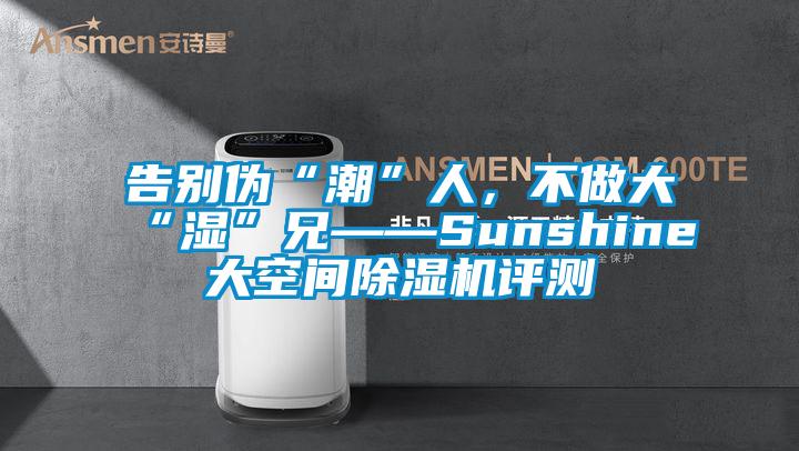 告別偽“潮”人，不做大“濕”兄——Sunshine大空間除濕機(jī)評(píng)測(cè)