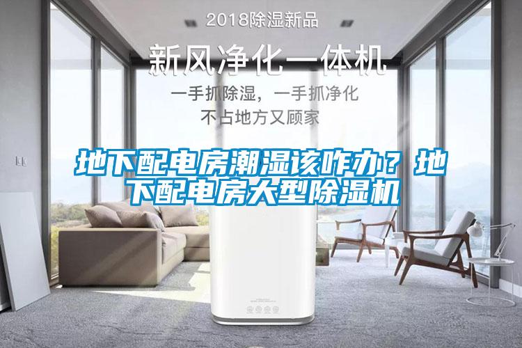 地下配電房潮濕該咋辦？地下配電房大型除濕機