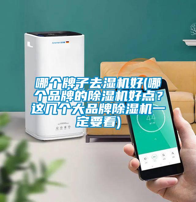 哪個(gè)牌子去濕機(jī)好(哪個(gè)品牌的除濕機(jī)好點(diǎn)？這幾個(gè)大品牌除濕機(jī)一定要看)