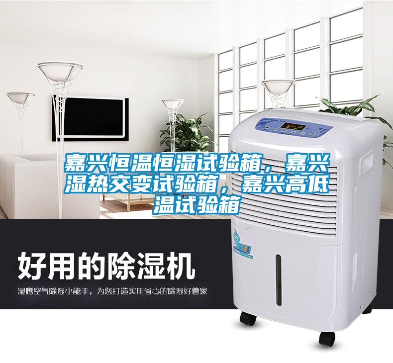 嘉興恒溫恒濕試驗箱，嘉興濕熱交變試驗箱，嘉興高低溫試驗箱