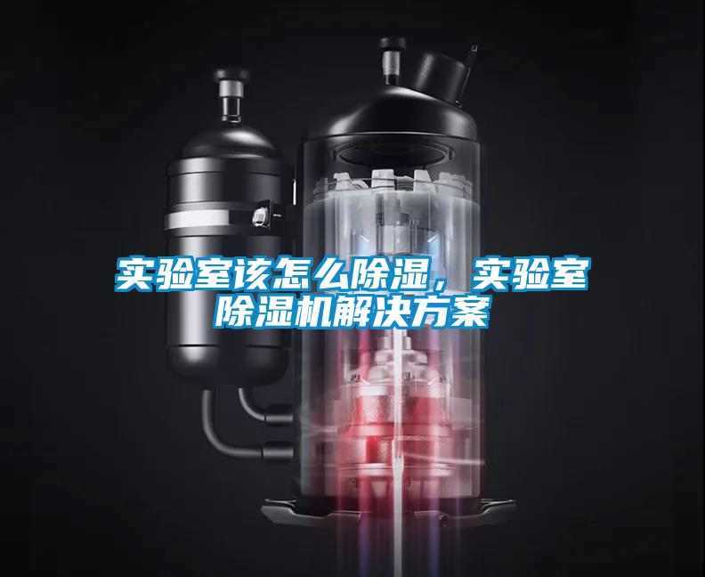 實驗室該怎么除濕，實驗室除濕機解決方案