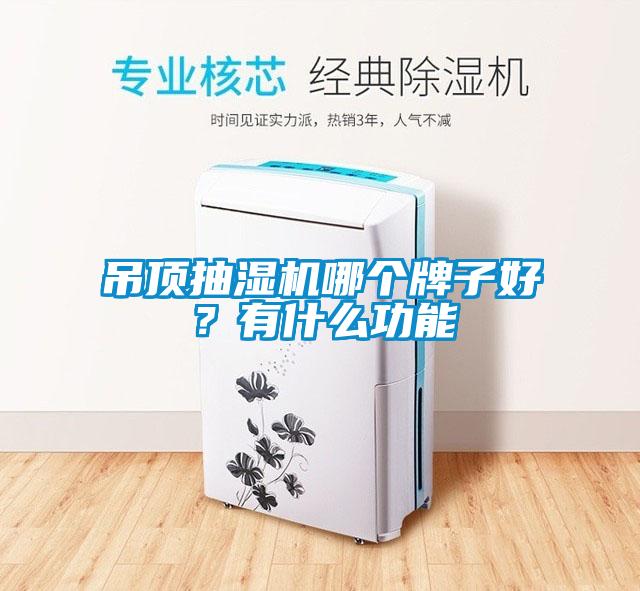 吊頂抽濕機(jī)哪個(gè)牌子好？有什么功能