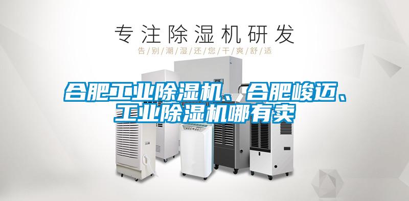 合肥工業(yè)除濕機、合肥峻邁、工業(yè)除濕機哪有賣