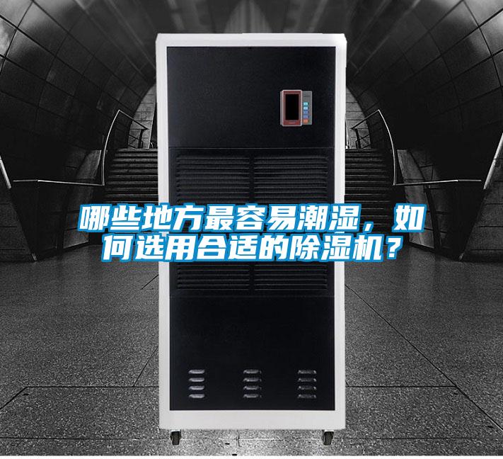 哪些地方最容易潮濕，如何選用合適的除濕機(jī)？