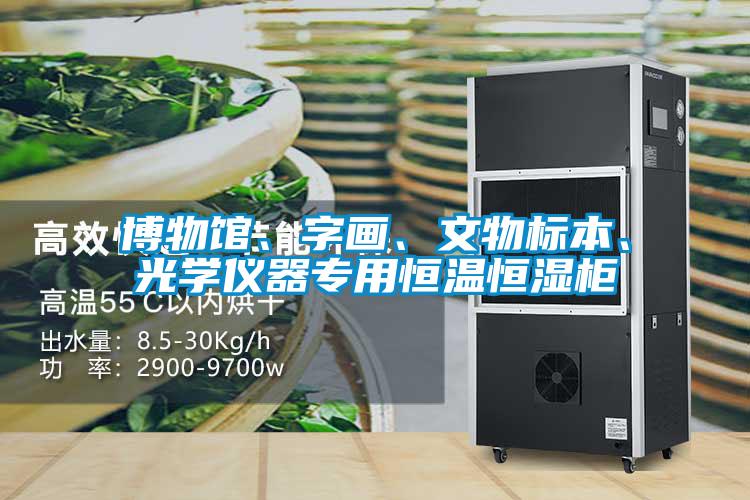 博物館、字畫(huà)、文物標(biāo)本、光學(xué)儀器專用恒溫恒濕柜