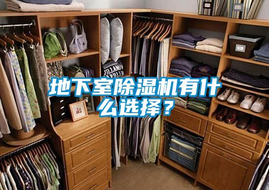 地下室除濕機(jī)有什么選擇？