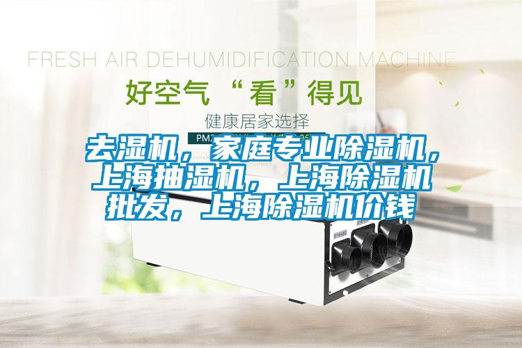 去濕機，家庭專業(yè)除濕機，上海抽濕機，上海除濕機批發(fā)，上海除濕機價錢