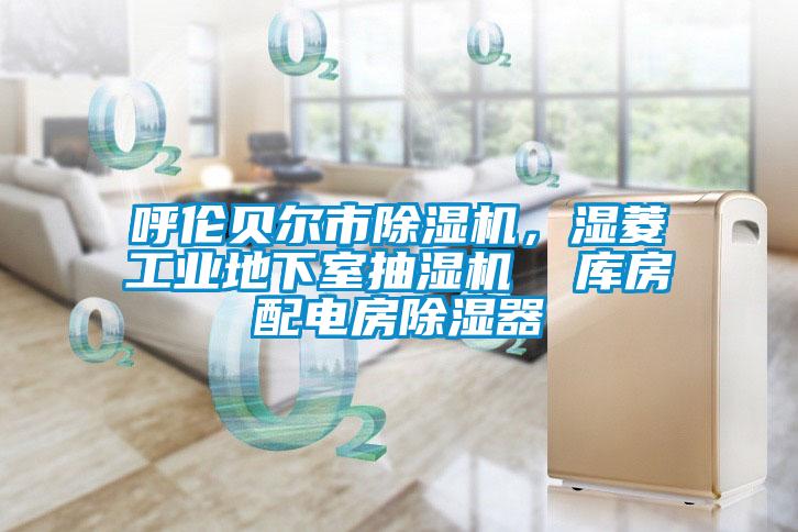 呼倫貝爾市除濕機(jī)，濕菱工業(yè)地下室抽濕機(jī)  庫(kù)房配電房除濕器