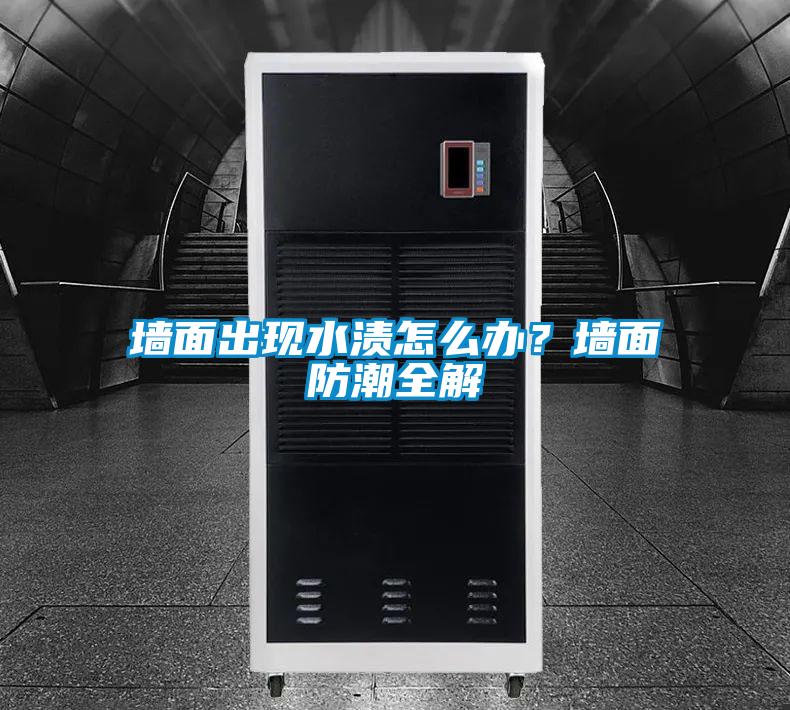 墻面出現(xiàn)水漬怎么辦？墻面防潮全解
