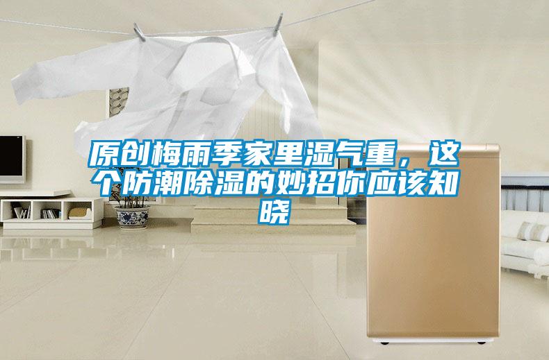 原創(chuàng)梅雨季家里濕氣重，這個防潮除濕的妙招你應該知曉