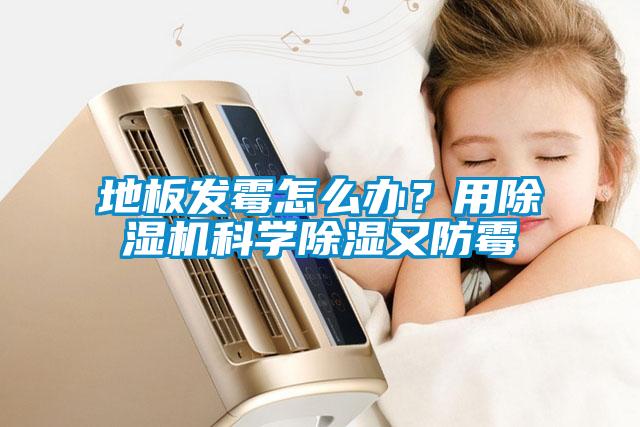 地板發(fā)霉怎么辦？用除濕機科學除濕又防霉