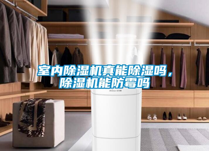 室內(nèi)除濕機(jī)真能除濕嗎，除濕機(jī)能防霉嗎