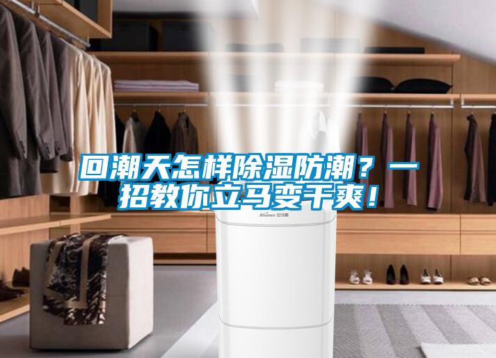 回潮天怎樣除濕防潮？一招教你立馬變干爽！