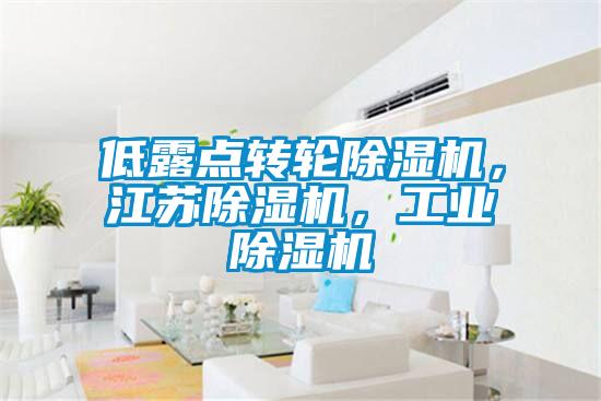 低露點(diǎn)轉(zhuǎn)輪除濕機(jī)，江蘇除濕機(jī)，工業(yè)除濕機(jī)