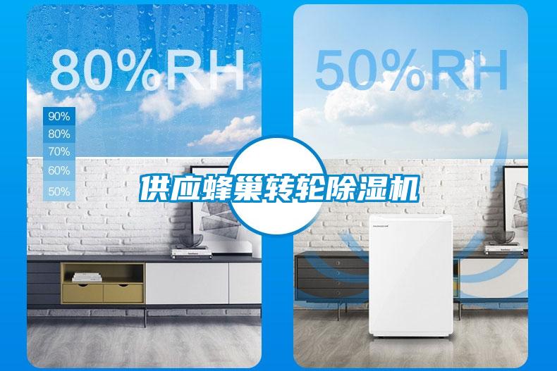 供應蜂巢轉(zhuǎn)輪除濕機