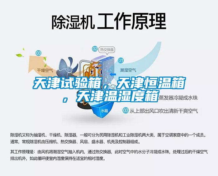 天津試驗(yàn)箱，天津恒溫箱，天津溫濕度箱