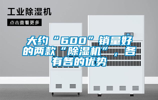 大約“600”銷量好的兩款“除濕機(jī)”，各有各的優(yōu)勢