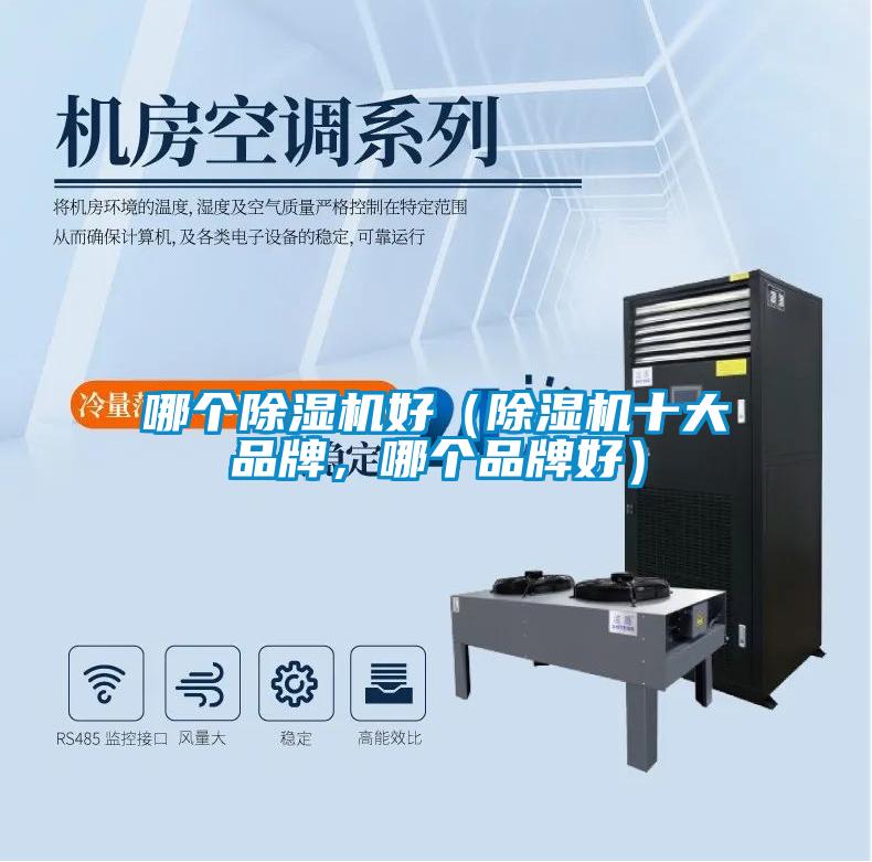 哪個除濕機好（除濕機十大品牌，哪個品牌好）