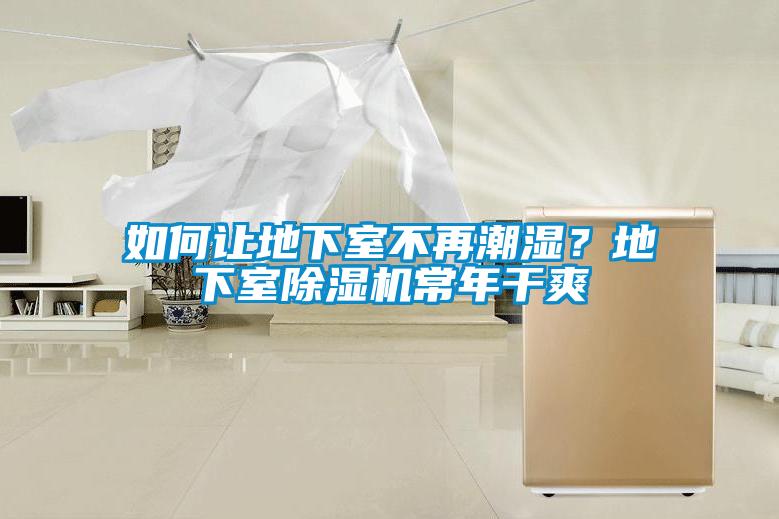 如何讓地下室不再潮濕？地下室除濕機常年干爽