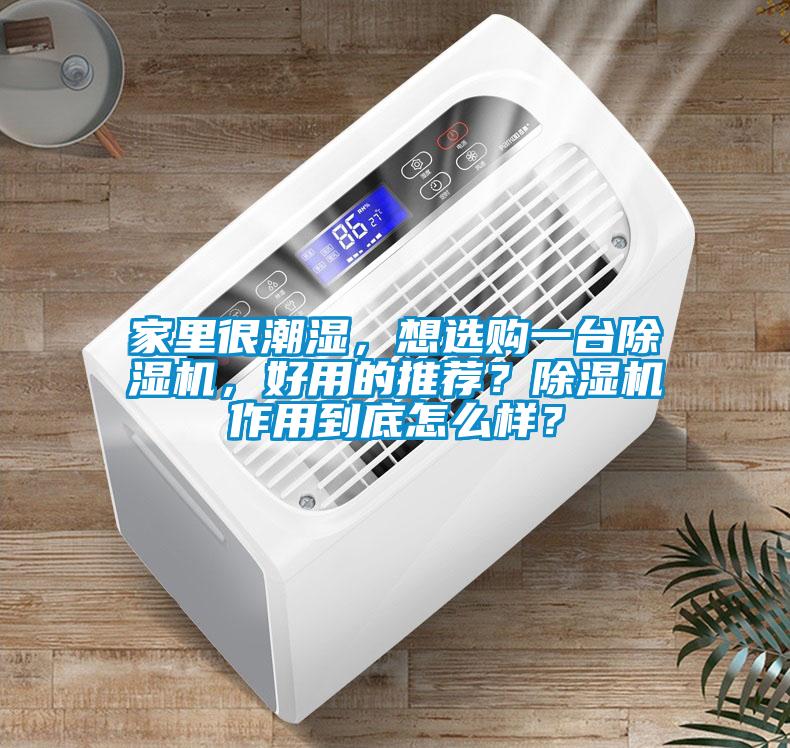 家里很潮濕，想選購一臺除濕機，好用的推薦？除濕機作用到底怎么樣？