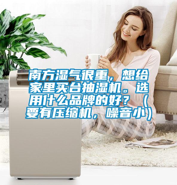 南方濕氣很重，想給家里買臺(tái)抽濕機(jī)。選用什么品牌的好？（要有壓縮機(jī)，噪音?。?></div>
								<div   id=