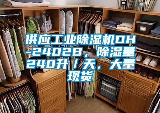 供應(yīng)工業(yè)除濕機(jī)DH-2402B，除濕量240升／天，大量現(xiàn)貨