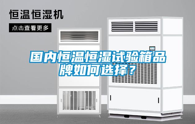 國(guó)內(nèi)恒溫恒濕試驗(yàn)箱品牌如何選擇？