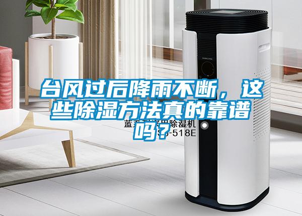 臺(tái)風(fēng)過(guò)后降雨不斷，這些除濕方法真的靠譜嗎？