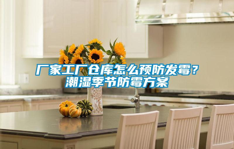 廠家工廠倉庫怎么預防發(fā)霉？潮濕季節(jié)防霉方案
