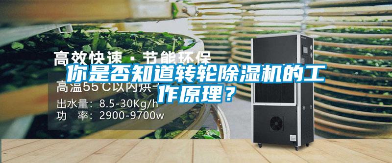 你是否知道轉(zhuǎn)輪除濕機(jī)的工作原理？