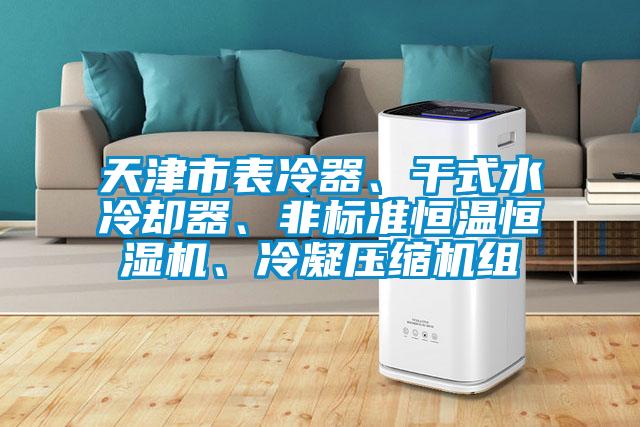 天津市表冷器、干式水冷卻器、非標(biāo)準(zhǔn)恒溫恒濕機、冷凝壓縮機組