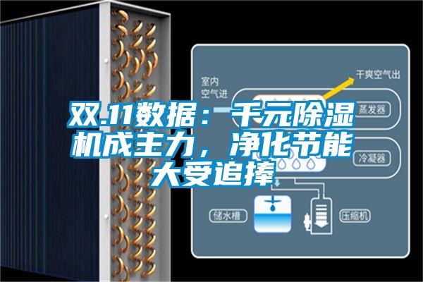 雙.11數(shù)據(jù)：千元除濕機(jī)成主力，凈化節(jié)能大受追捧