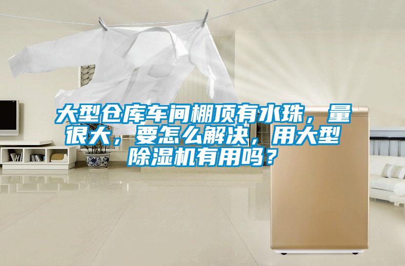 大型倉(cāng)庫(kù)車間棚頂有水珠，量很大，要怎么解決，用大型除濕機(jī)有用嗎？