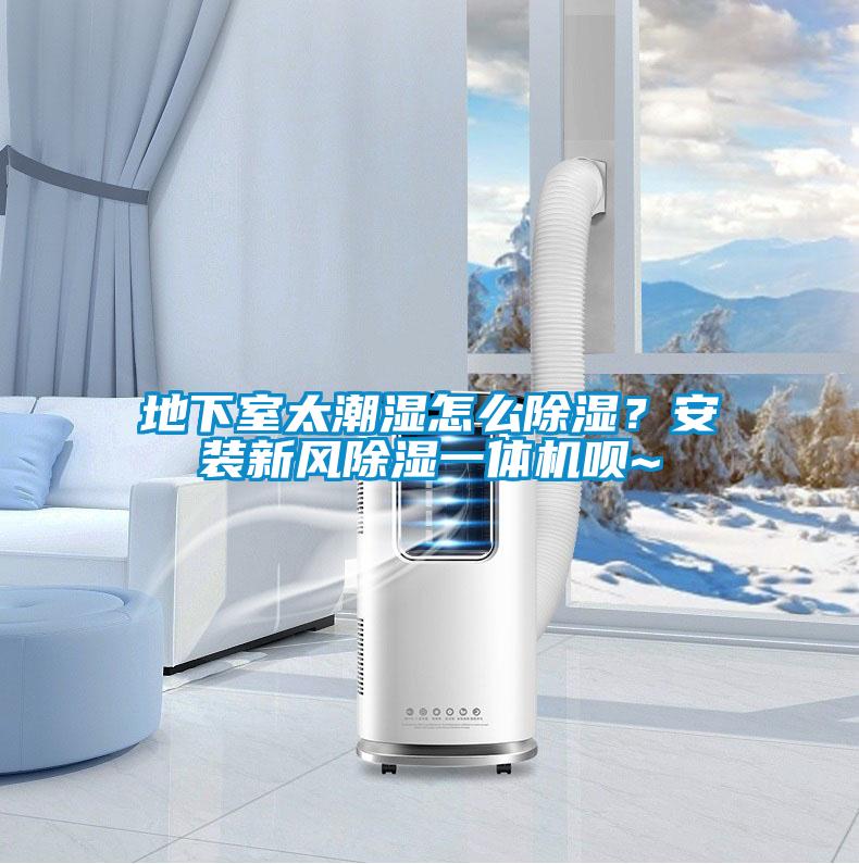 地下室太潮濕怎么除濕？安裝新風(fēng)除濕一體機(jī)唄~