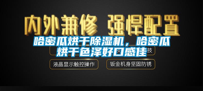 哈密瓜烘干除濕機(jī)，哈密瓜烘干色澤好口感佳