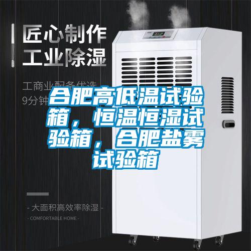 合肥高低溫試驗(yàn)箱，恒溫恒濕試驗(yàn)箱，合肥鹽霧試驗(yàn)箱