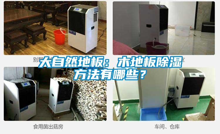 大自然地板：木地板除濕方法有哪些？
