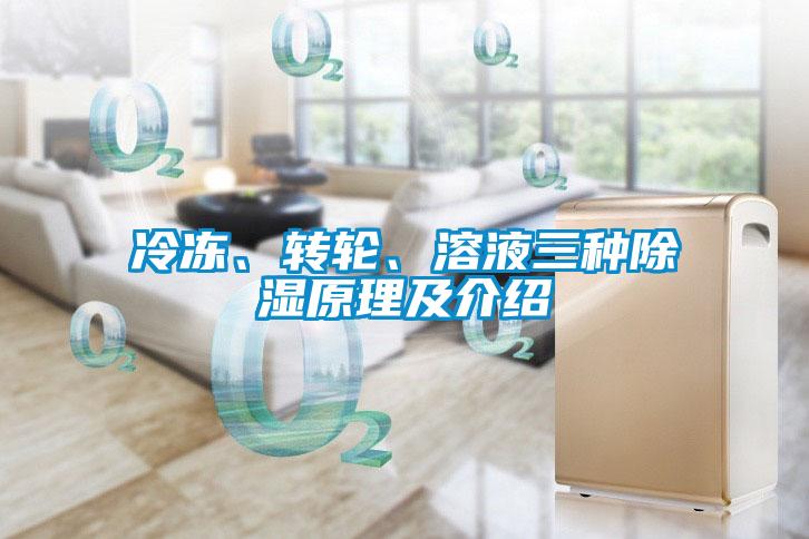 冷凍、轉(zhuǎn)輪、溶液三種除濕原理及介紹