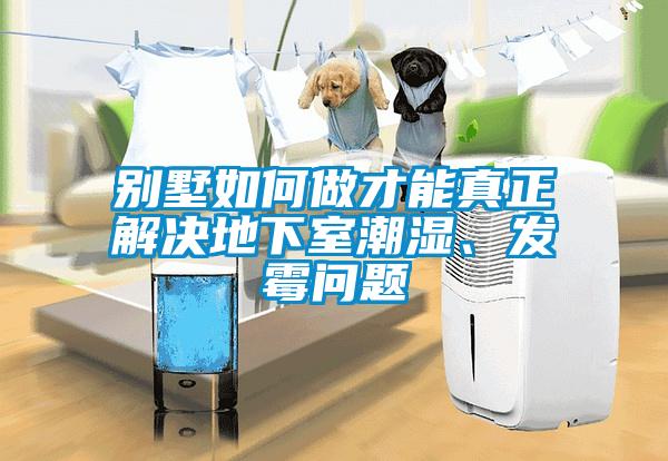 別墅如何做才能真正解決地下室潮濕、發(fā)霉問(wèn)題