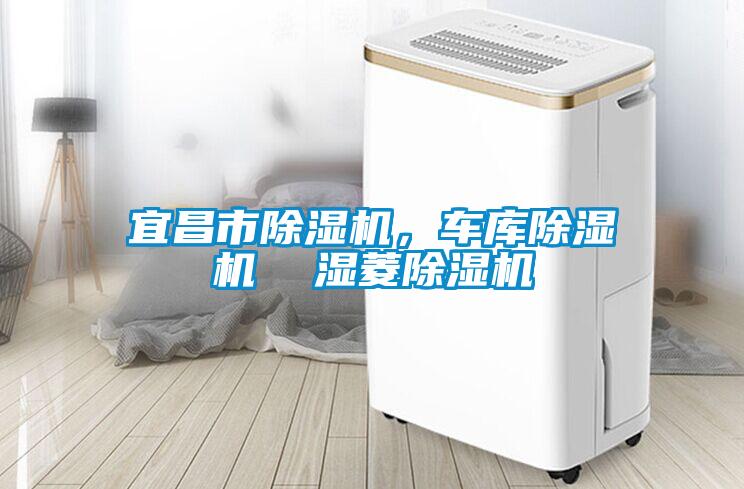 宜昌市除濕機(jī)，車庫除濕機(jī)  濕菱除濕機(jī)